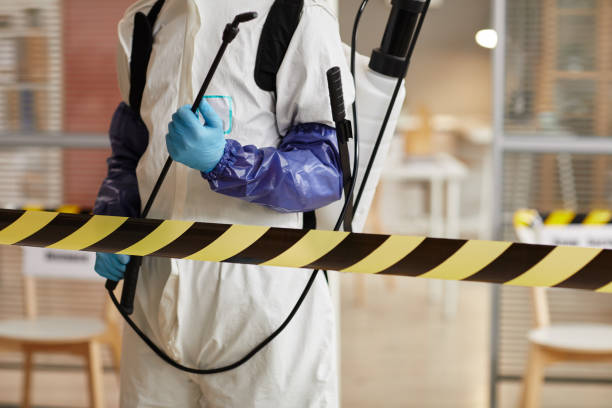 Professional Sewage Cleanup technician working in Sunapee, NH